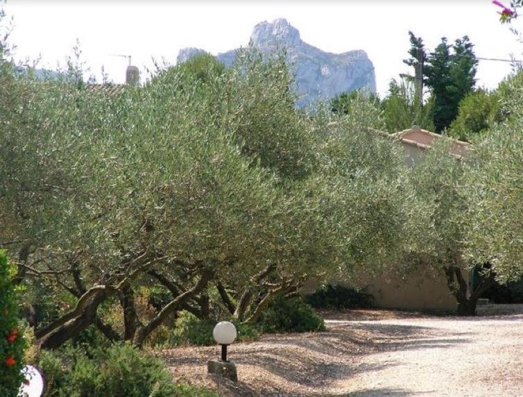 Un Gite En Provence - Les Jardins De Fontanille Saint-Rémy-de-Provence Екстериор снимка